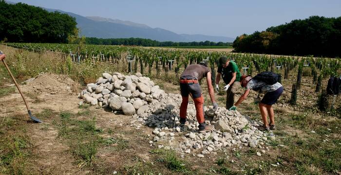 Mise en place de murgier