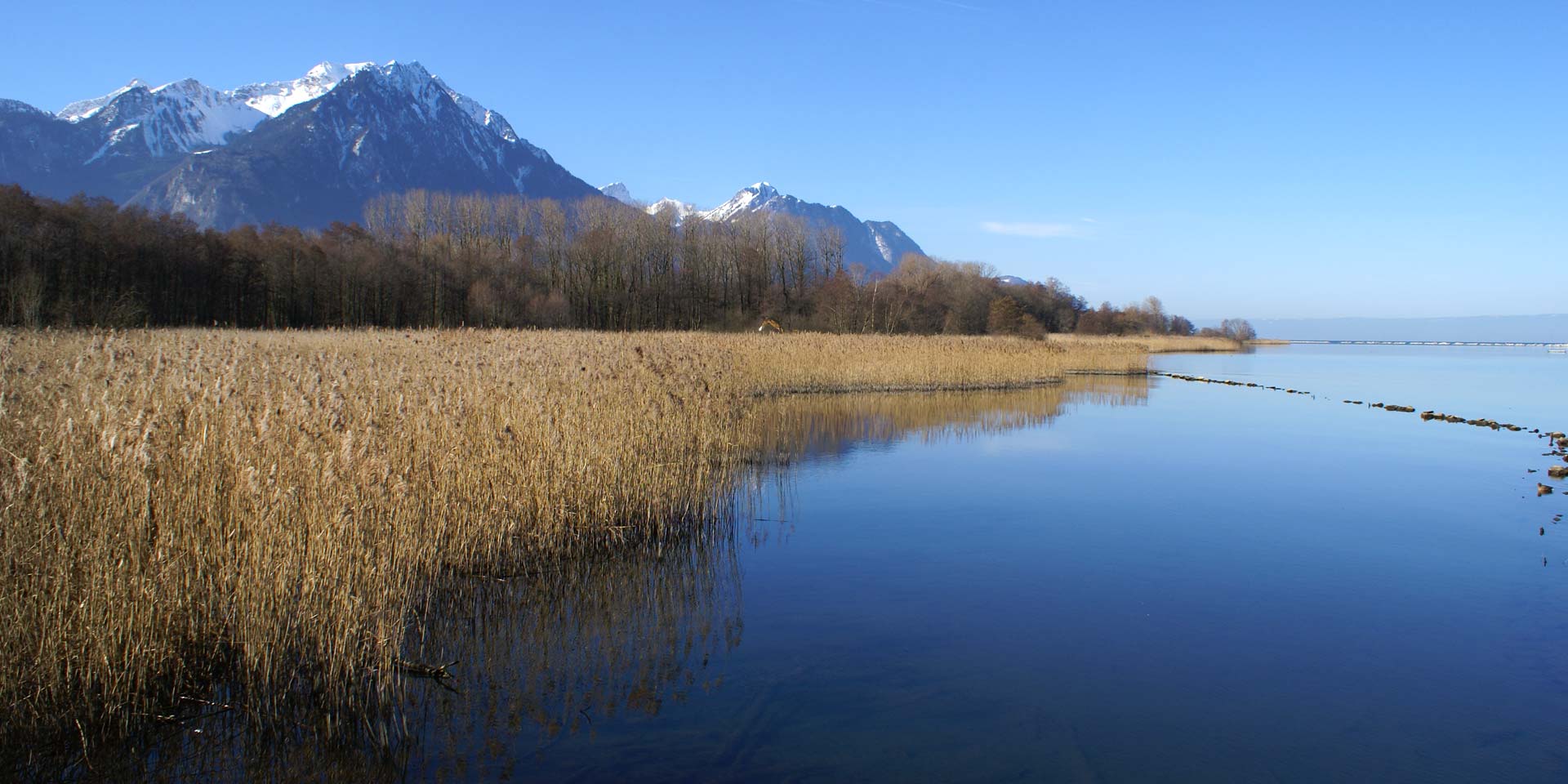 Naturschutzgebiet Les Grangettes (VD) Pro Natura