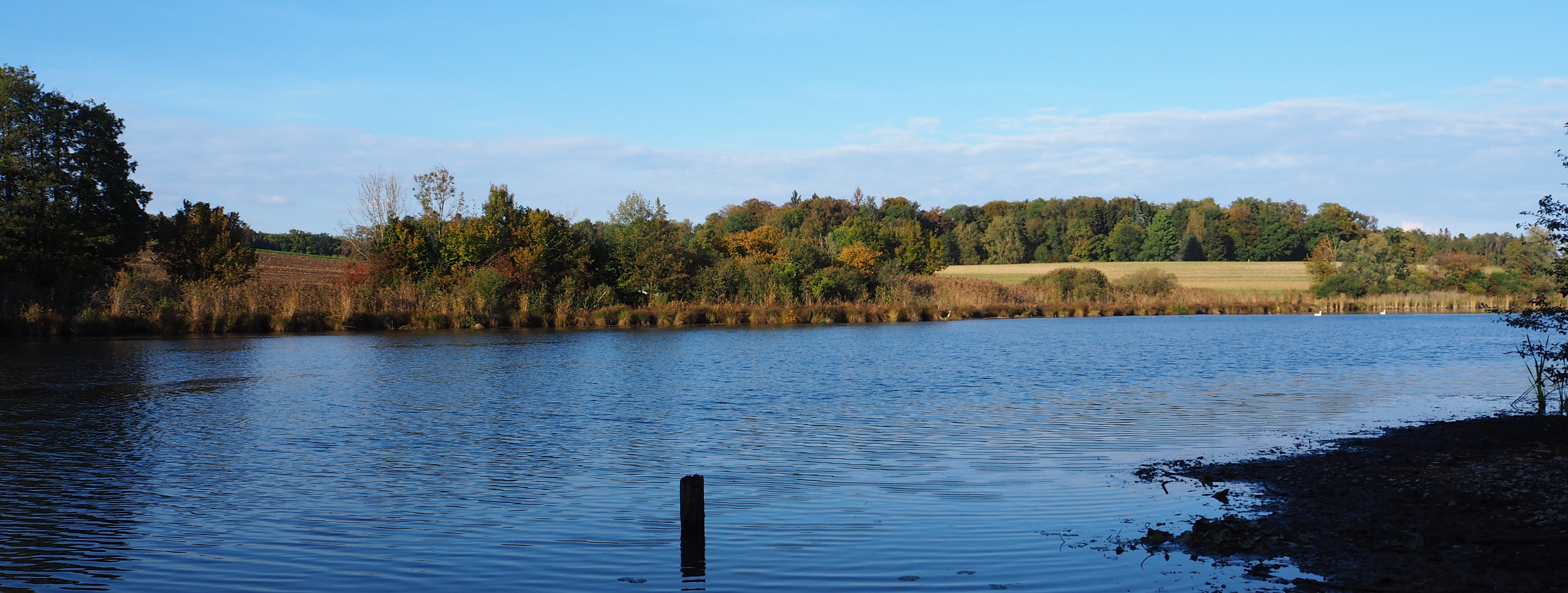 Naturschutzgebiet Bommer Weiher Pro Natura
