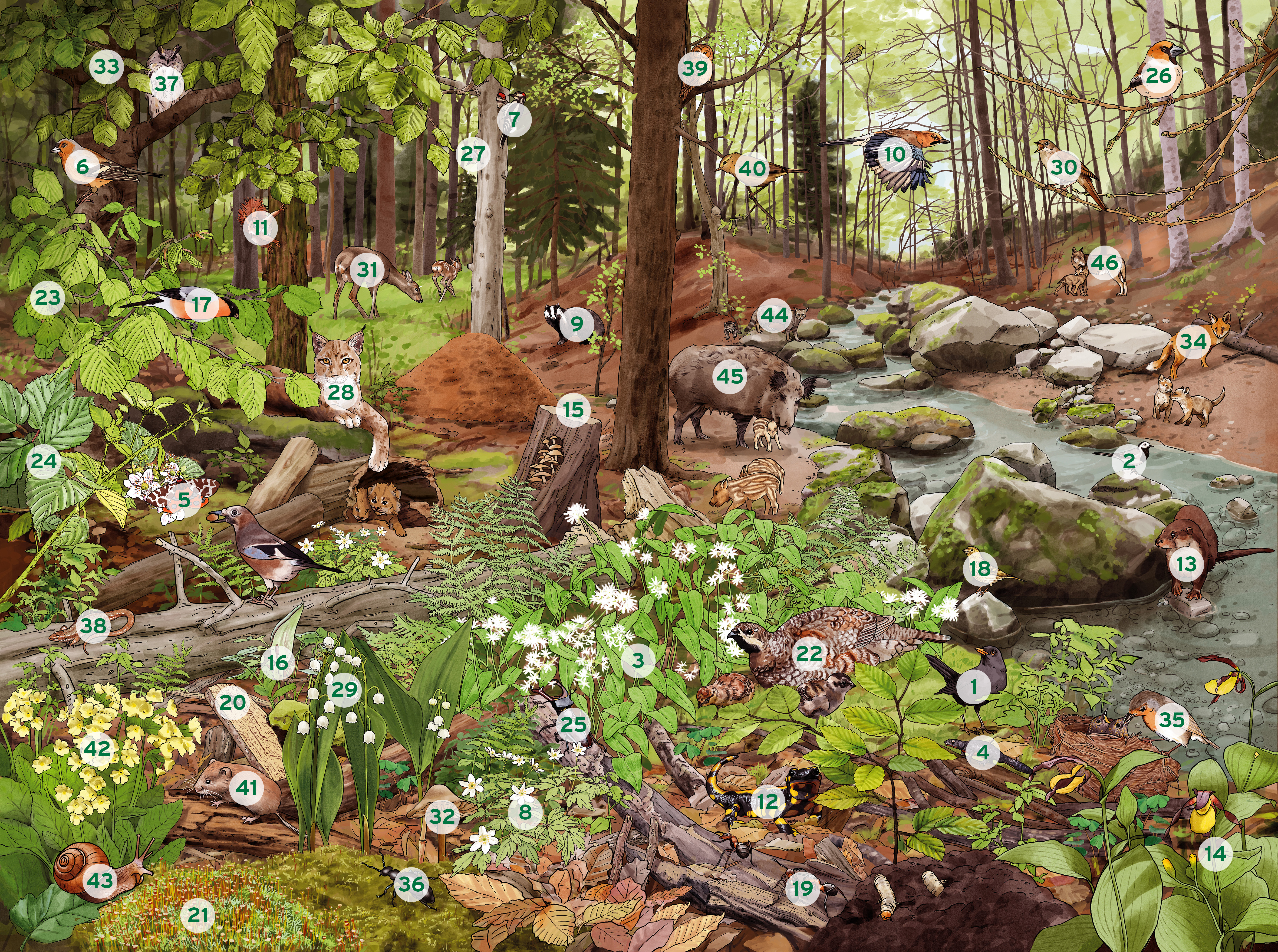 Illustration einer Blumenwiese mit Zahlen