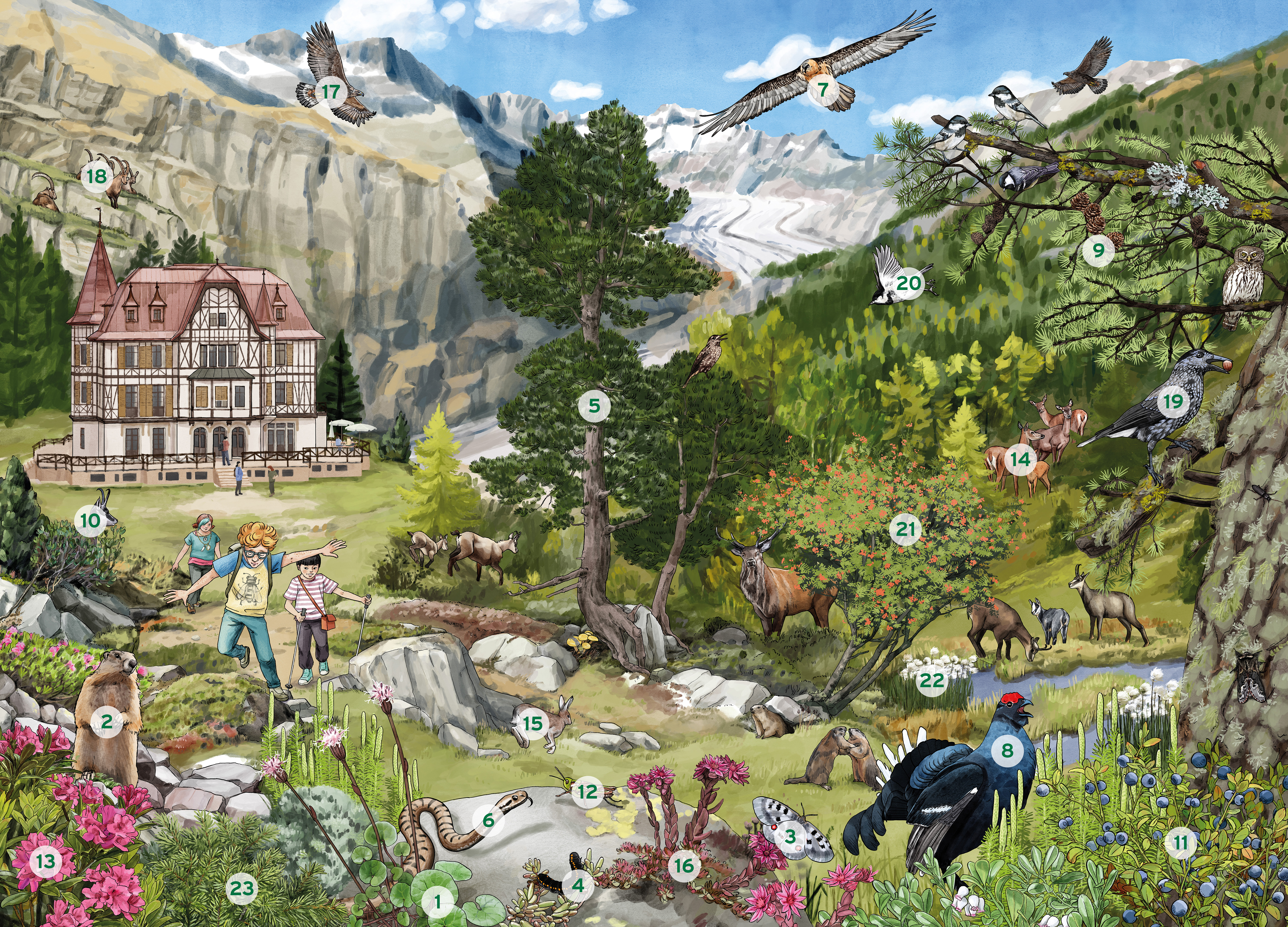 Illustration einer Berglandschaft