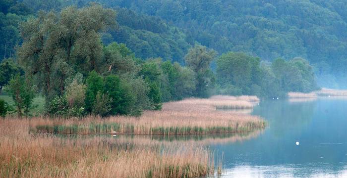 Wohlensee bei Bern