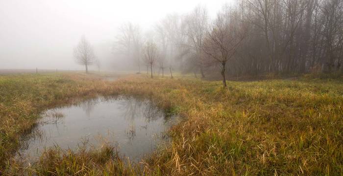 Pro Natura hat 2004 neue Seitenarme angelegt, damit die Reuss die Flussaue wieder selber gestalten und die Lebensräume für Tiere und Pflanzen ständig erneuern kann.