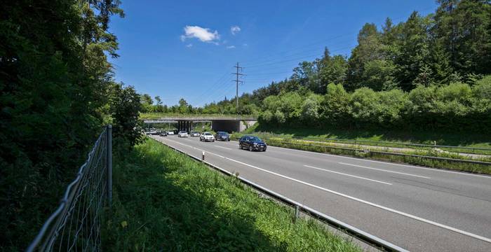 Autobahnen sind gefährliche Hindernisse für Wildtiere © Matthias Sorg