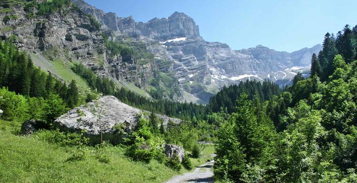 Vallon de Nant © Adrien Zeender