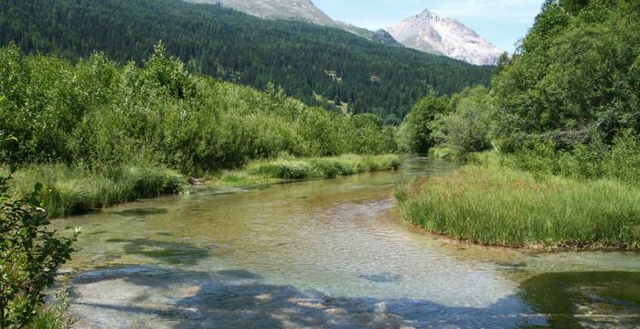 Paysages alluviaux du Rom (GR)