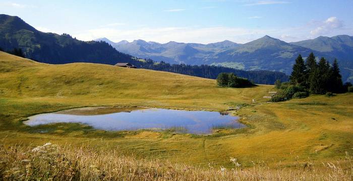 Le Stelsersee se trouve dans une petite cuvette formée @ Pro Natura Graubünden