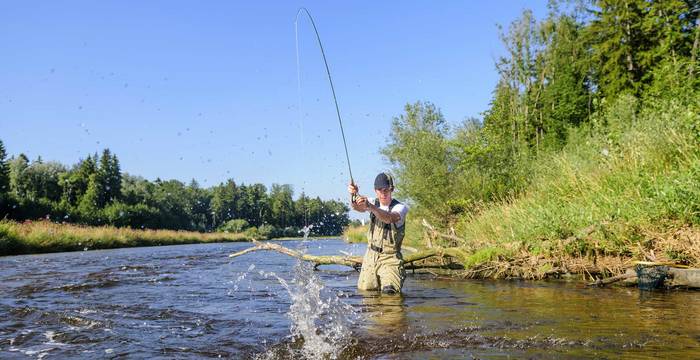 Pêcheur dans une rivière