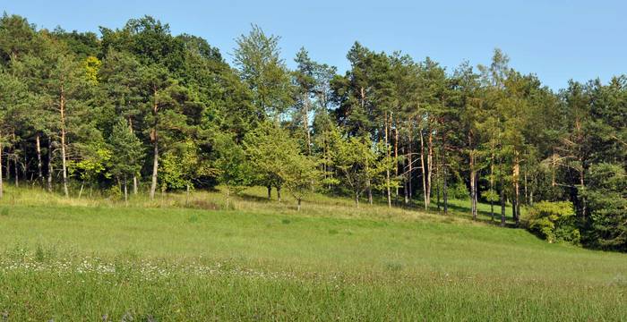 Nättenberg © Wolfgang Bischoff