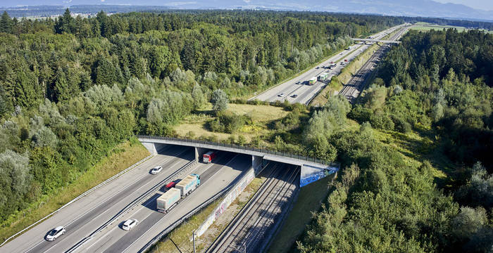 Légende: Nos paysages sont fortement fragmentés. Cela empêche les animaux sauvages de se déplacer naturellement et provoque plus de 20’000 accidents avec des animaux sauvages par année. Pro Natura demande davantage d’axes de déplacement non perturbés pour que cerfs, blaireaux & Cie puissent traverser sans danger les routes et les voies de chemin de fer. Photo: AURA Emanuel Ammon / Pro Natura