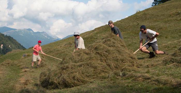 Vacances en faveur de la nature, bénévoles aux foins au Monte Comino, Tessin © Susanna Meyer