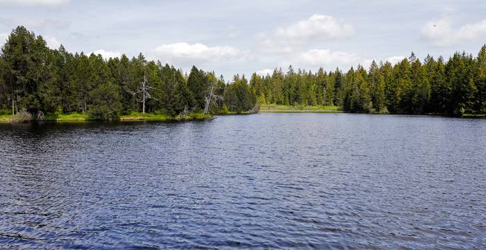 Etang de la Gruere