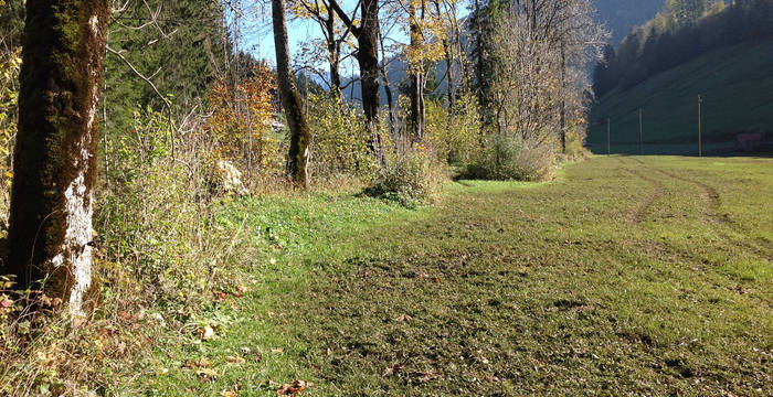 Légende: L’enquête de Pro Natura Fribourg révèle que du fumier et du lisier sont illégalement épandus sur 83 des 138 bandes tampons examinées, situées entre les champs et les ruisseaux, haies ou forêts.