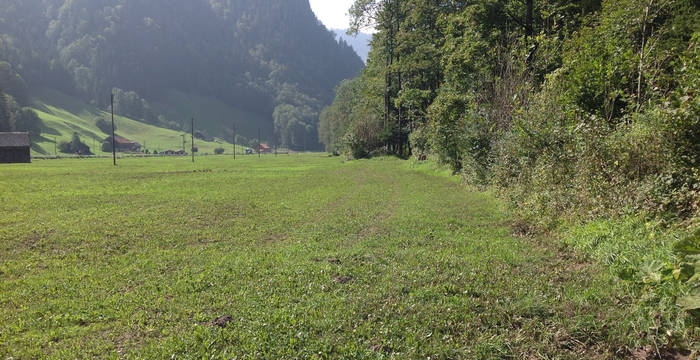 Legende: Die Untersuchung von Pro Natura hat herausgefunden: Im Kanton Fribourg wurden 83 von 138 untersuchten Pufferstreifen zwischen Kulturland und Bächen, Hecken und Wäldern illegalerweise gedüngt. © Pro Natura FR / Sylvie Rotzetter