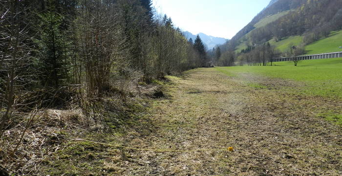 Légende: L’enquête de Pro Natura Fribourg révèle que du fumier et du lisier sont illégalement épandus sur 83 des 138 bandes tampons examinées, situées entre les champs et les ruisseaux, haies ou forêts.