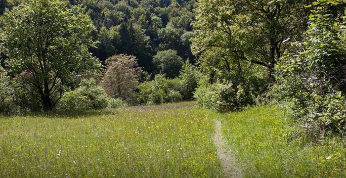 Prairies du Laadel