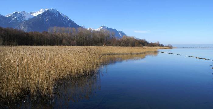 Les Grangettes