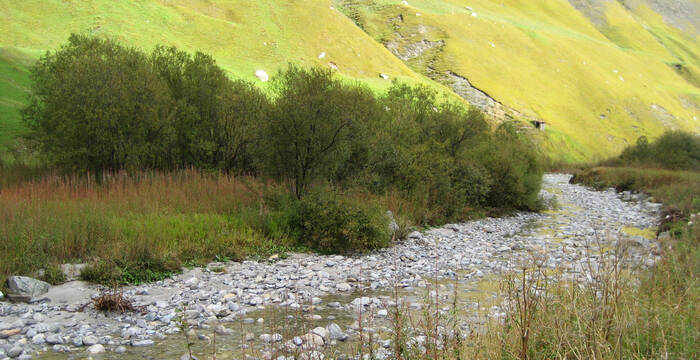 Revitalisierung der Wildenaue © Pro Natura