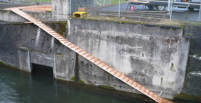 Bibertreppe in Cham