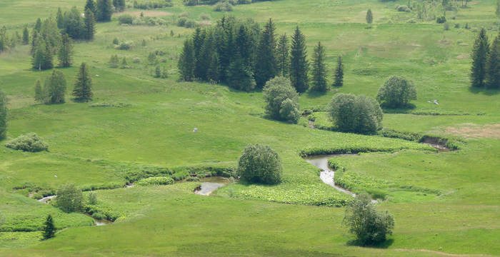 Moorlandschaft Rothenturm © Thomas Bachmann