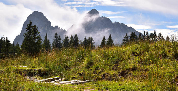 Tagesexkursion, Berglandschaft im Spätsommer