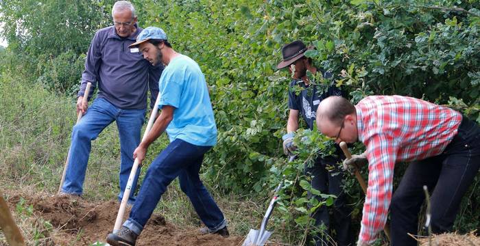 Arbeiten für Zauneidechse und Hermelin im Gros-de-Vaud