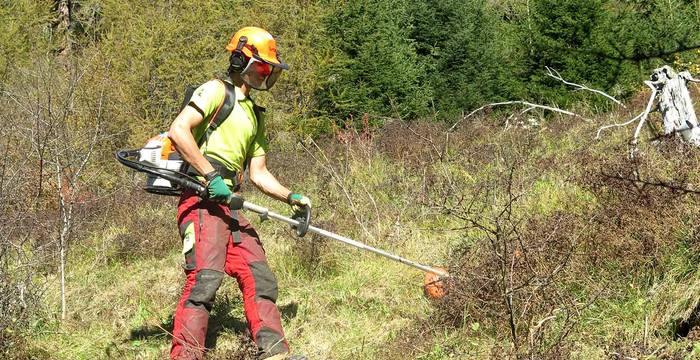 Pro Biotope agit aussi dans les zones broussailleuses