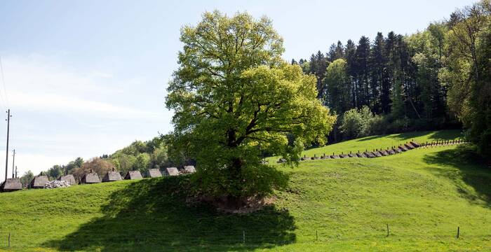Panzersperre Marfeldingen © Matthias Sorg