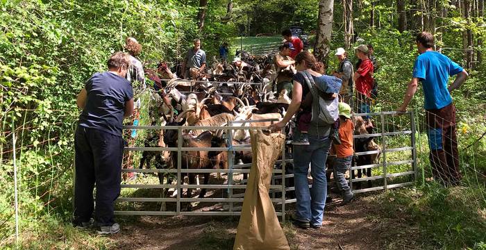 Encore un peu de patience, il est bientôt temps d'embarquer! © Pro Natura