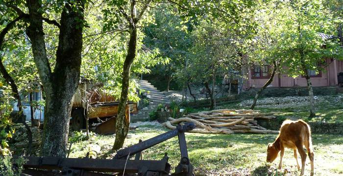 Ein Landwirtschaftsbetrieb in der Natur