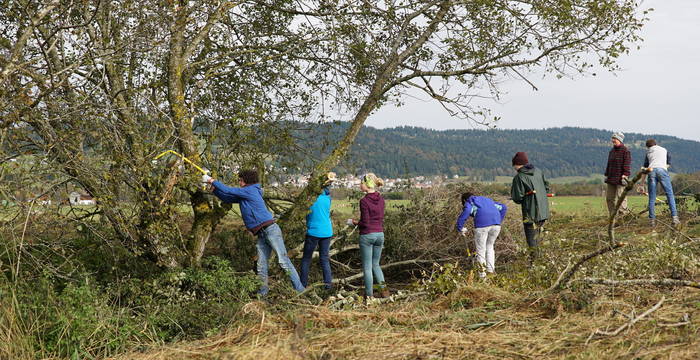 Eine Gruppe Jugendlicher bei einem Arbeitseinsatz bei einer Hecke