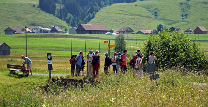 Wandergruppe auf Entdeckungstour