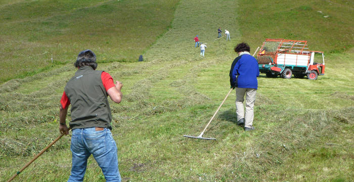 Des bénévoles font les foins sur l’alpe Flix. © Monika Wernli