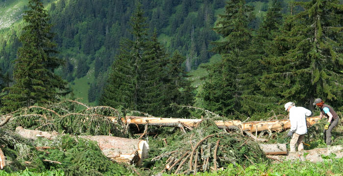 Action musclée dans la réserve naturelle du Vanil Noir. © René Amstutz