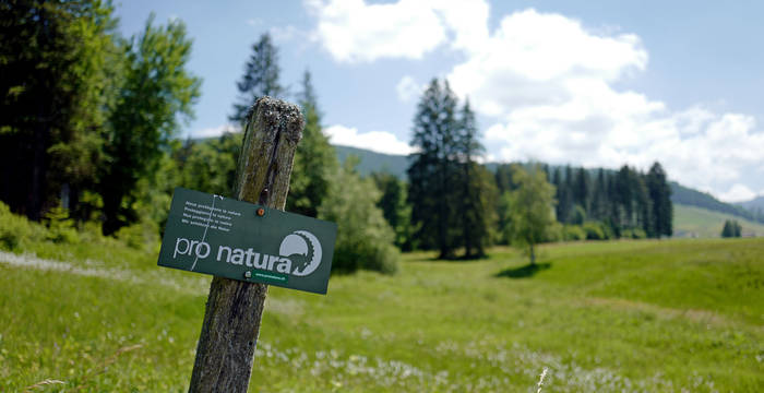 Pro Natura kümmert sich um ihr Naturschutzgebiet seit den 90er Jahren