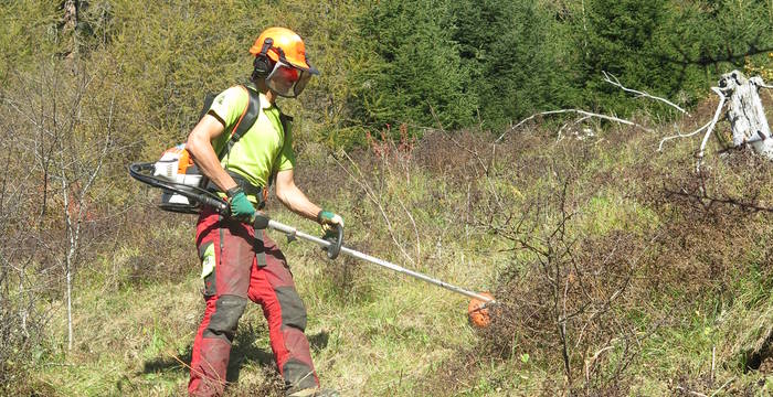 Pro Biotope – des jeunes professionnels au service de la nature