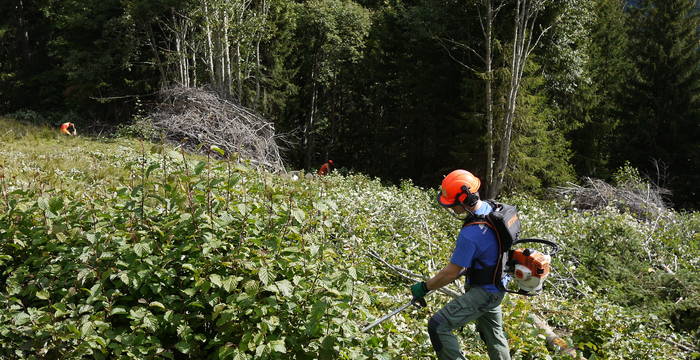 Pro Biotope – des jeunes professionnels au service de la nature