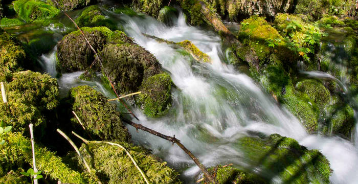 Rivière dans le Jura