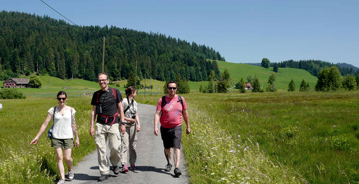 Der Weg führt nachher mitten durch die Moorlandschaft