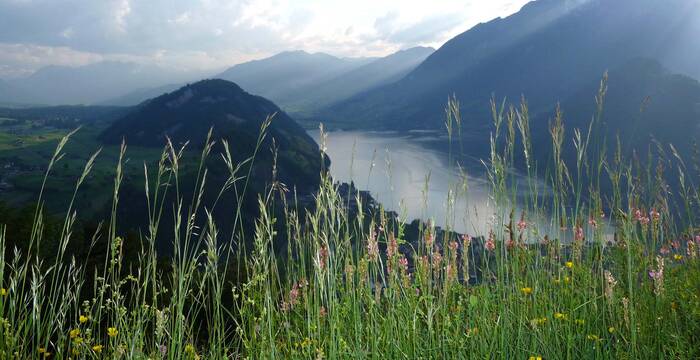 Blick von der Oberen Stöchmatt