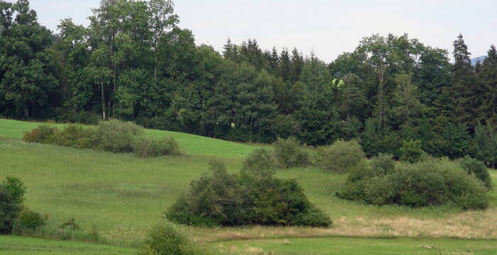 Schutzgebiet Oberbergfeld, Gossau