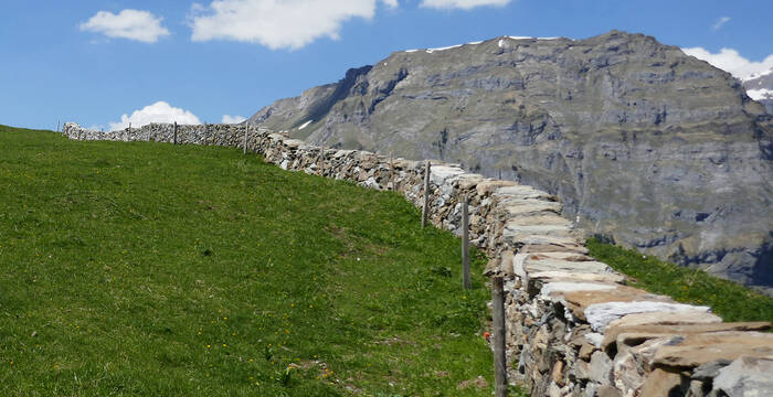 Trokenmauer Baumgartenalp