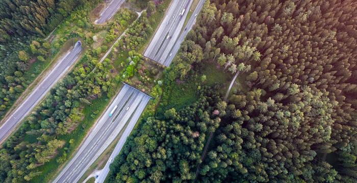 1er prix «Corridors faunistiques»: David Hagmann, 4143 Dornach. Prise de vue par drone de passerelles faunistiques sur l’autoroute et la voie ferrée, autoroute A1 près de Kirchberg BE