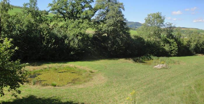 La réserve du Chilpen est un milieu naturel riche, contenant également des étangs.