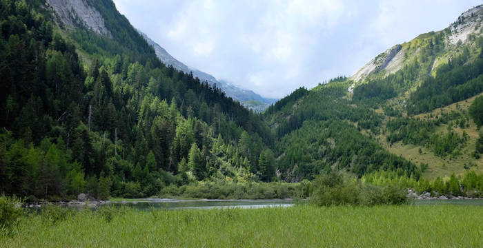 Blick auf See und Urwald von nordost