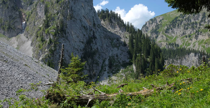 Les espaces en haute altitude sont réservés aux chamois et aux bouquetins.