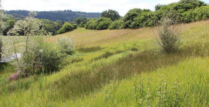 Quellaustritt im Wiesland  © Marianne Rutishauser, Pro Natura Aargau