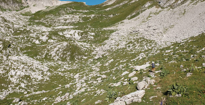 In den steinigen Flanken findet sich eine reiche Alpenflora