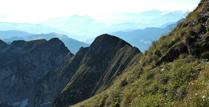 La réserve naturelle Pro Natura du Vanil Noir est une région karstique avec forêt d'érables naturelle et prairies d’une grande diversité variétale. Habitat, entre autres, du bouquetin, de la vipère aspic et de plus de 73 espèces de papillons.