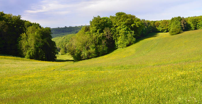 Paysage culturel près d'Emmenbrücke